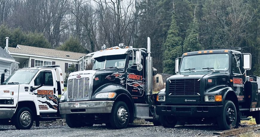 Layer 6